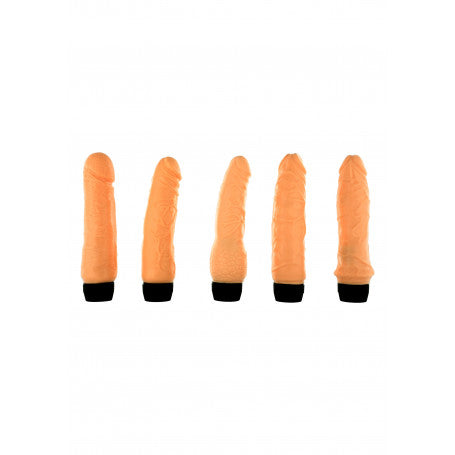 The Magnificent 5 – Cinque Vibrazioni, Un Solo Desiderio