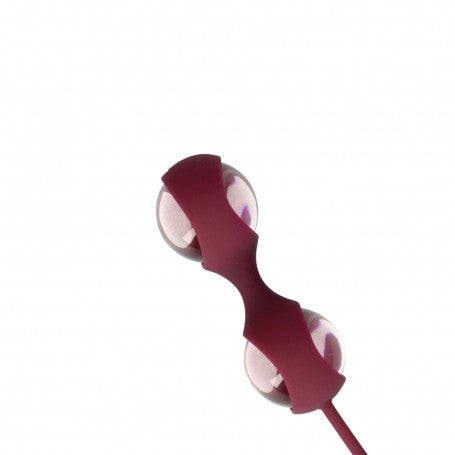 Explore Cherry – Il Kit della Prima Scoperta