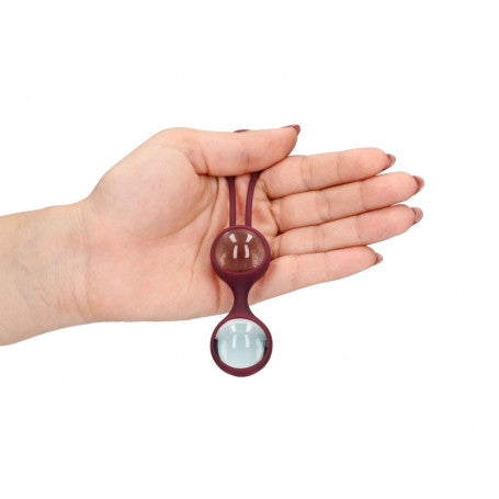 Explore Cherry – Il Kit della Prima Scoperta