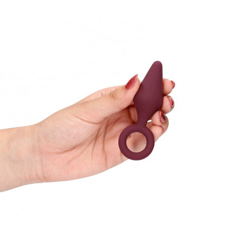 Explore Cherry – Il Kit della Prima Scoperta