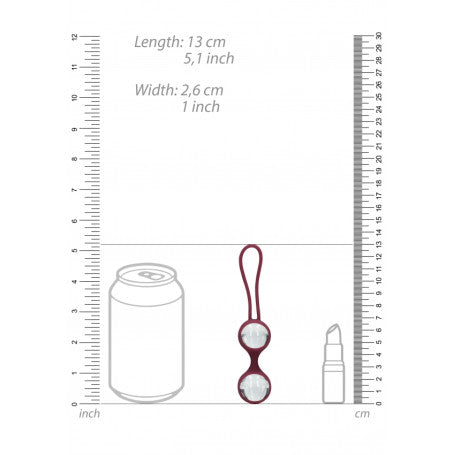 Explore Cherry – Il Kit della Prima Scoperta